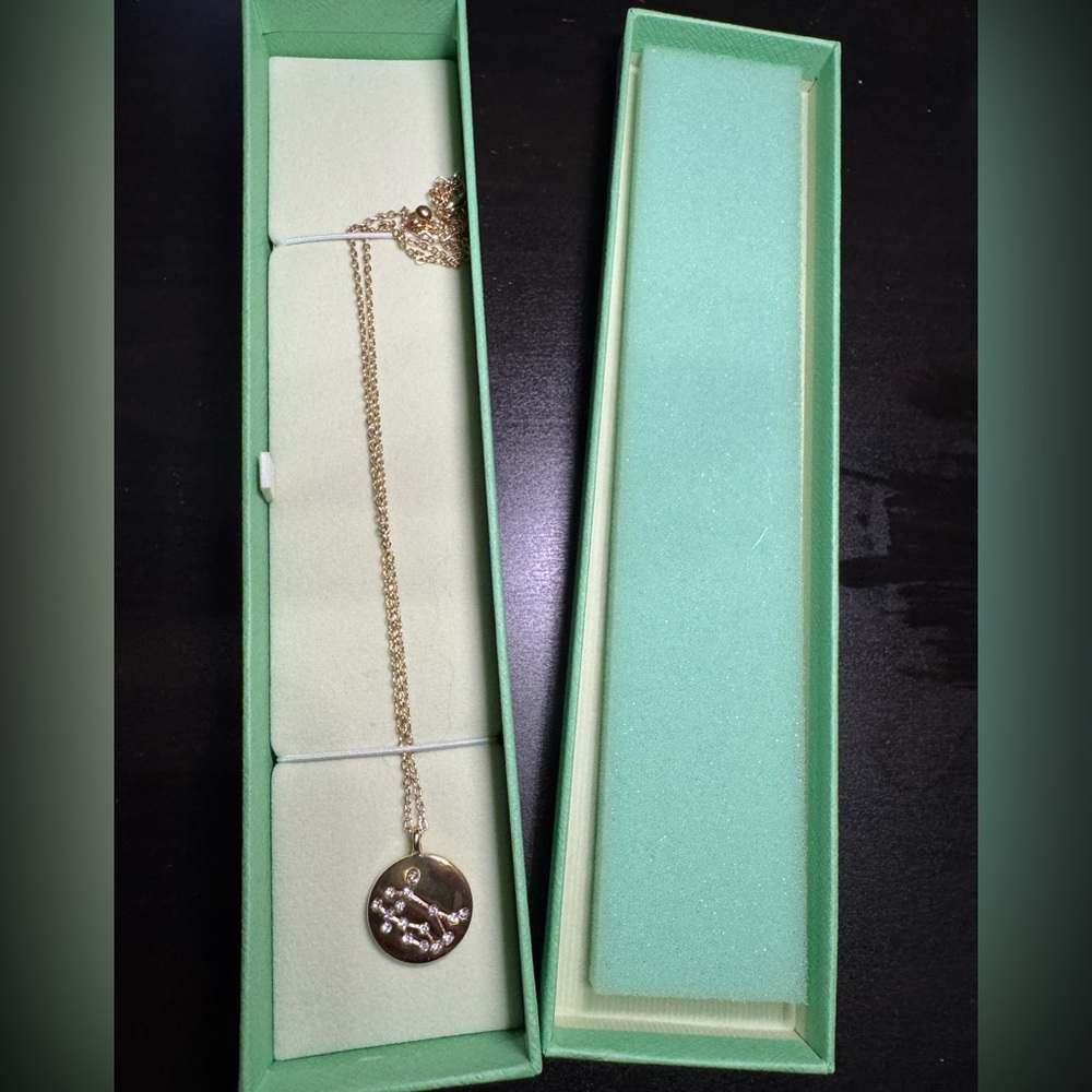 Gemini necklace